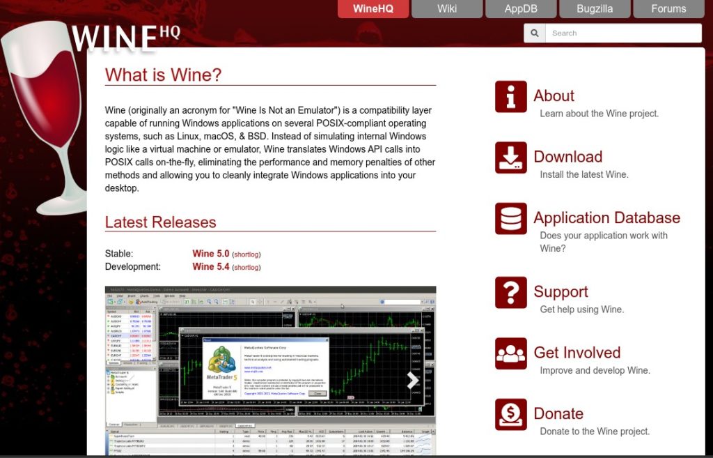 La homepage di Wine