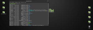 Una schermata desktop di Linux Mint con una fiestra terminale aperta