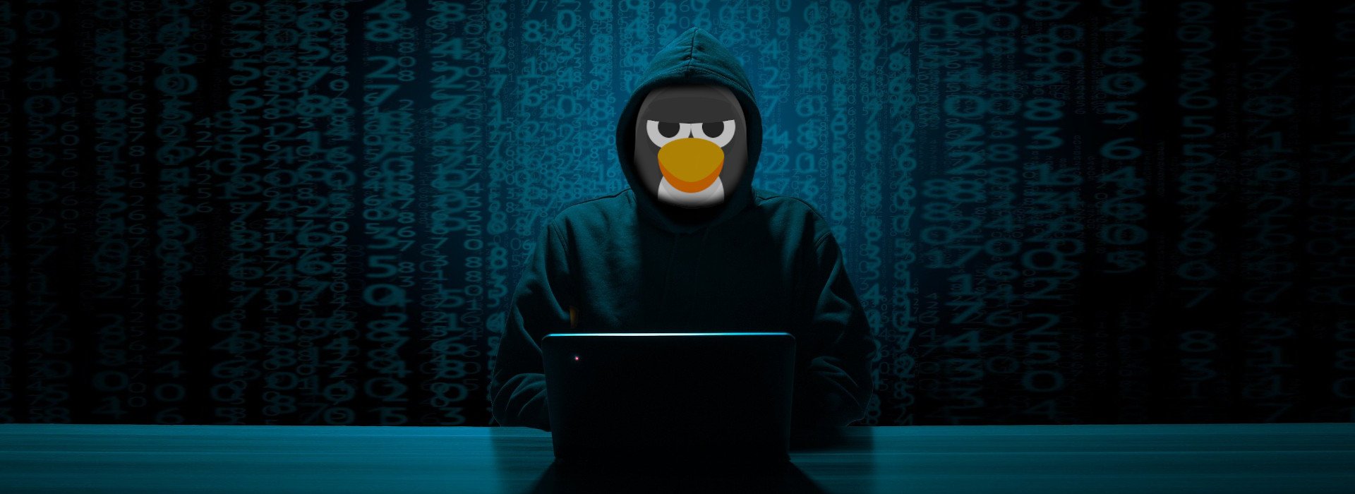 sicurezza e privacy in Linux (copertina)