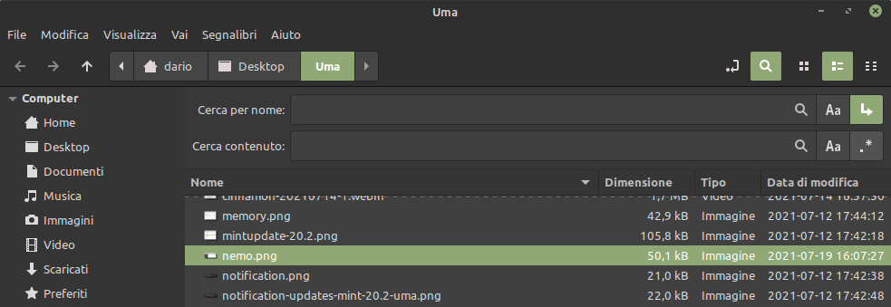 ricerca nel contenuto dei file in Linux Mint 20.2 e Cinnamon 5