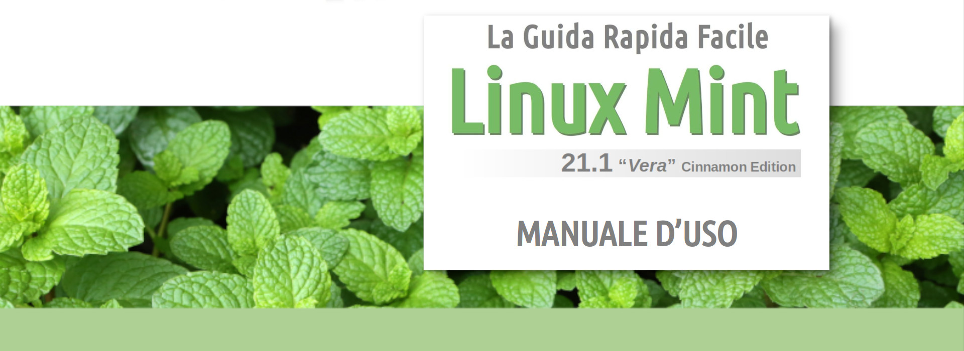 Manuale Linux Mint 21.1 (copertina ebook)