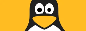 Primo sistema operativo Linux per principianti: Guida completa (copertina)