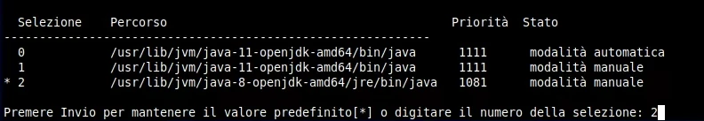Versione 8 di Java (openjdk-8-jre) per slpct in Linux